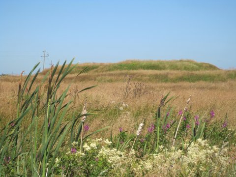 Voldstedet Blåborg